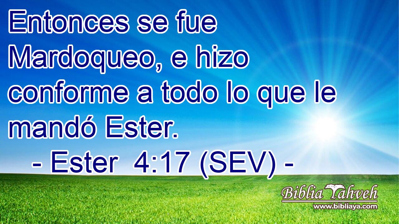 Entonces se fue Mardoqueo, e hizo conforme a todo lo que le mandó Ester.