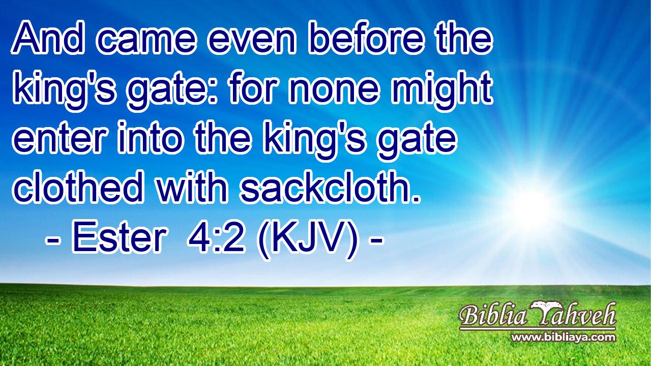And came even before the king's gate: for none might enter into the king's gate clothed with sackcloth.