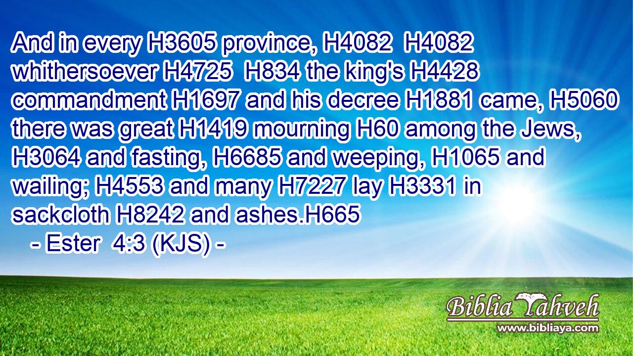 And in every H3605 province, H4082  H4082 whithersoever H4725  H834 the king's H4428 commandment H1697 and his decree H1881 came, H5060 there was great H1419 mourning H60 among the Jews, H3064 and fasting, H6685 and weeping, H1065 and wailing; H4553 and many H7227 lay H3331 in sackcloth H8242 and ashes.H665