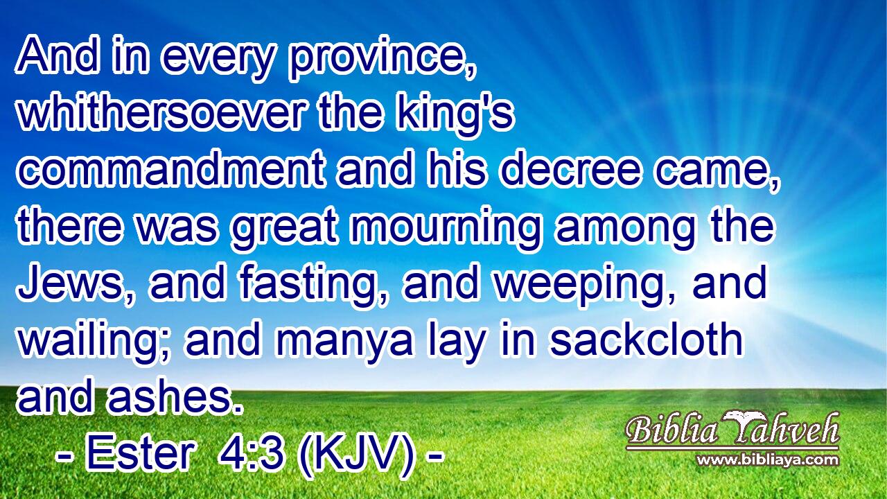 And in every province, whithersoever the king's commandment and his decree came, there was great mourning among the Jews, and fasting, and weeping, and wailing; and manya lay in sackcloth and ashes.