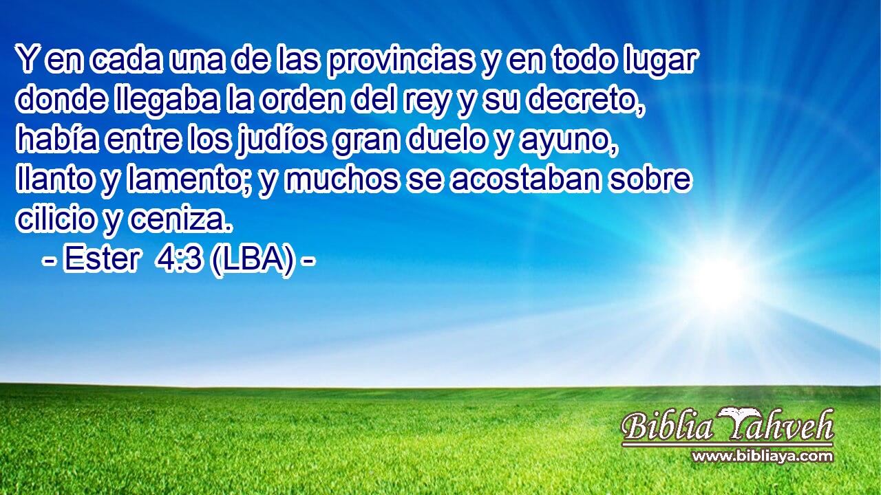 Y en cada una de las provincias y en todo lugar donde llegaba la orden del rey y su decreto, había entre los judíos gran duelo y ayuno, llanto y lamento; y muchos se acostaban sobre cilicio y ceniza.