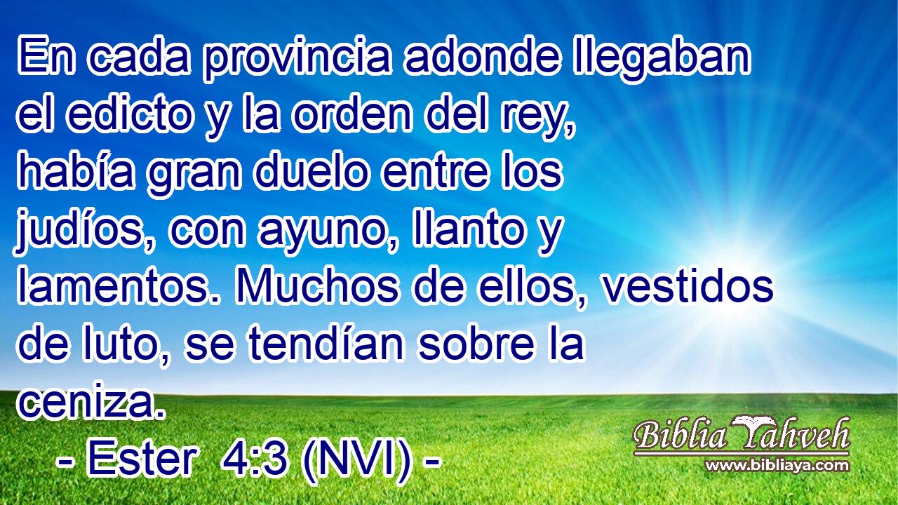  En cada provincia adonde llegaban el edicto y la orden del rey, había gran duelo entre los judíos, con ayuno, llanto y lamentos. Muchos de ellos, vestidos de luto, se tendían sobre la ceniza. 