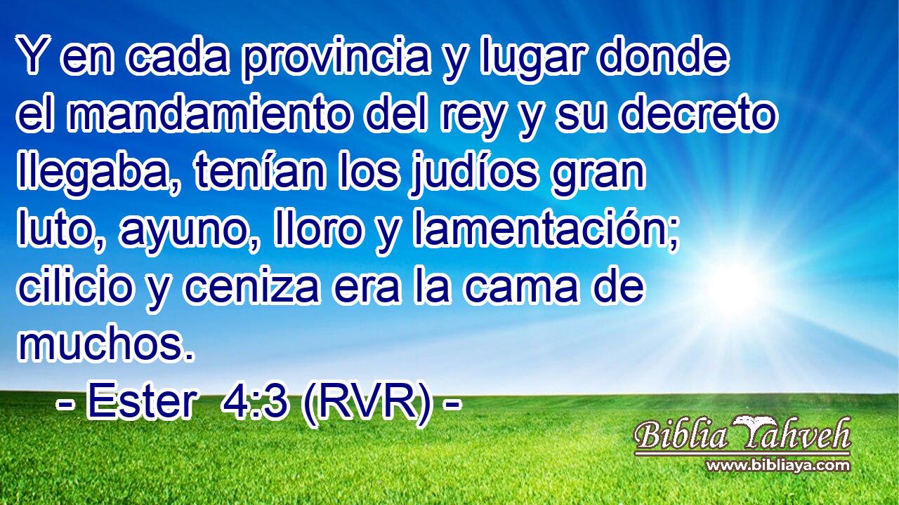 Y en cada provincia y lugar donde el mandamiento del rey y su decreto llegaba, tenían los judíos gran luto, ayuno, lloro y lamentación; cilicio y ceniza era la cama de muchos.