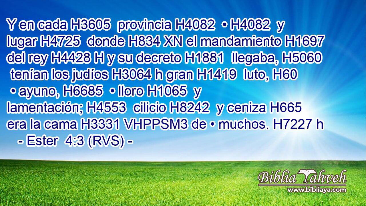 Y en cada H3605  provincia H4082  • H4082  y lugar H4725  donde H834 XN el mandamiento H1697  del rey H4428 H y su decreto H1881  llegaba, H5060  tenían los judíos H3064 h gran H1419  luto, H60  • ayuno, H6685  • lloro H1065  y lamentación; H4553  cilicio H8242  y ceniza H665  era la cama H3331 VHPPSM3 de • muchos. H7227 h 