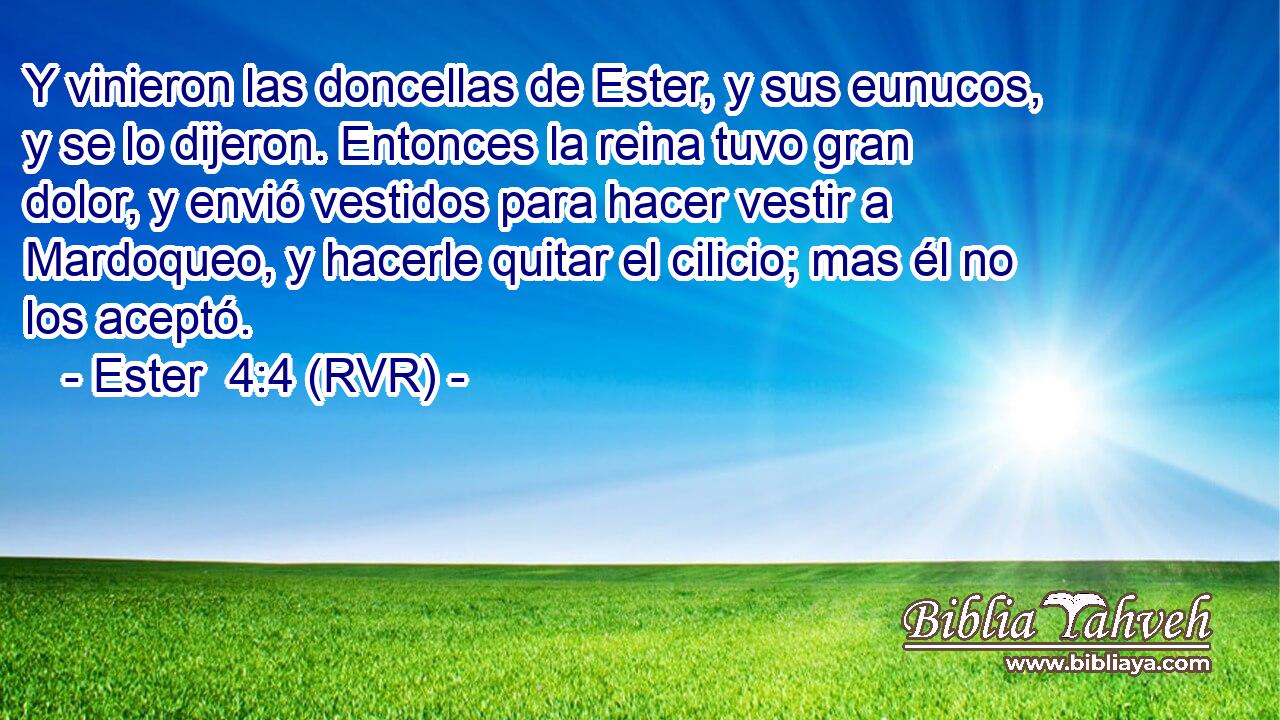 Y vinieron las doncellas de Ester, y sus eunucos, y se lo dijeron. Entonces la reina tuvo gran dolor, y envió vestidos para hacer vestir a Mardoqueo, y hacerle quitar el cilicio; mas él no los aceptó.