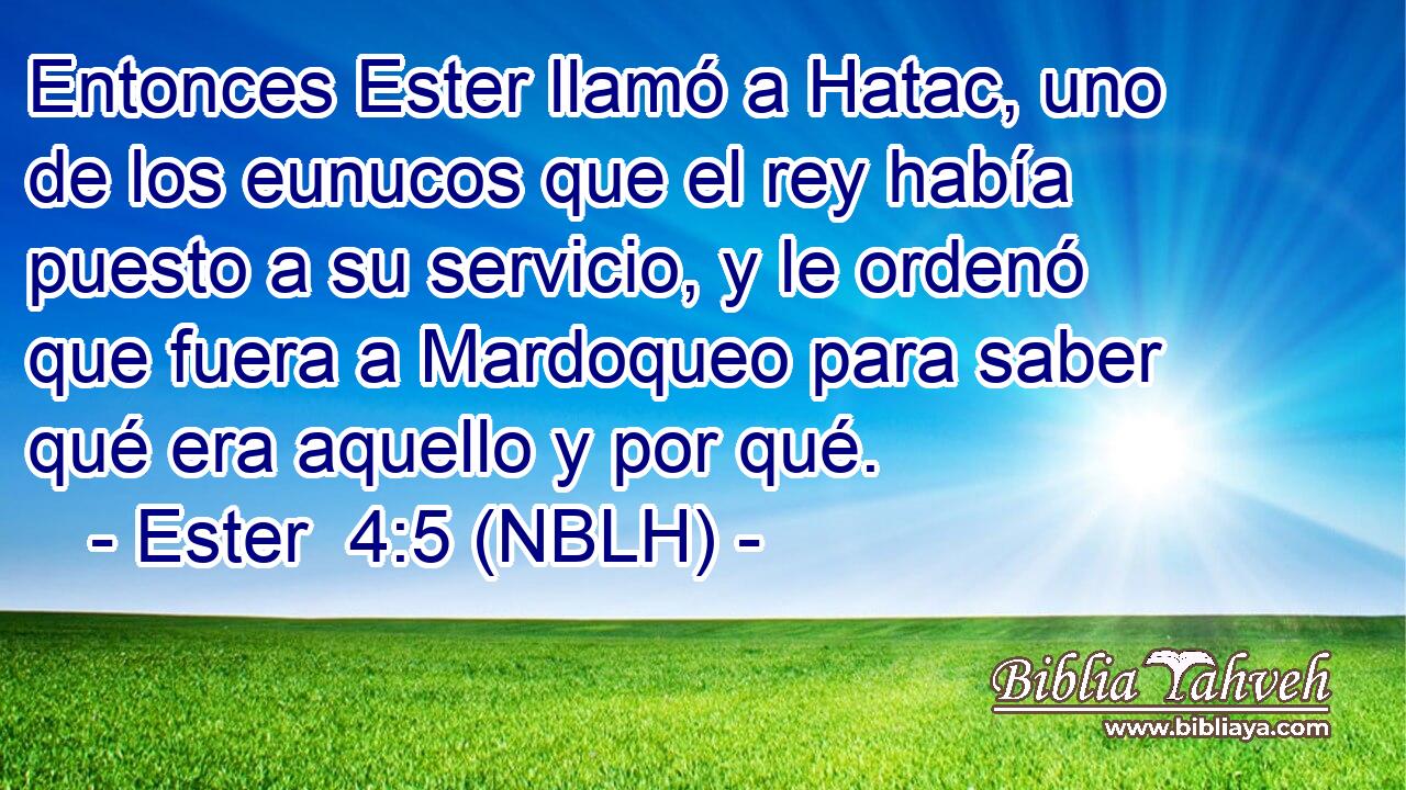  Entonces Ester llamó a Hatac, uno de los eunucos que el rey había puesto a su servicio, y le ordenó que fuera a Mardoqueo para saber qué era aquello y por qué. 