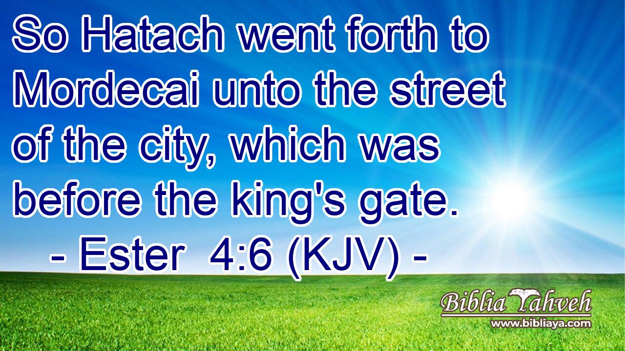 So Hatach went forth to Mordecai unto the street of the city, which was before the king's gate.