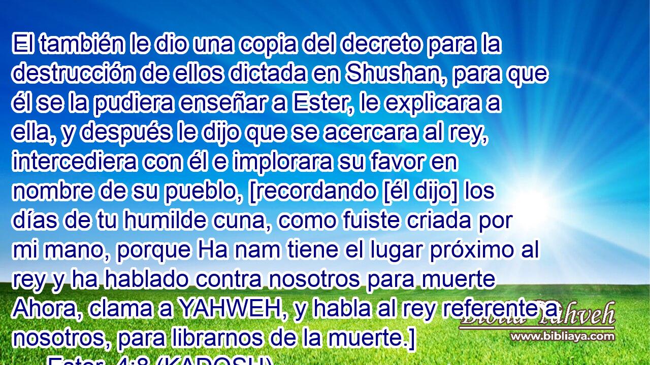  El también le dio una copia del decreto para la destrucción de ellos dictada en Shushan, para que él se la pudiera enseñar a Ester, le explicara a ella, y después le dijo que se acercara al rey, intercediera con él e implorara su favor en nombre de su pueblo, [recordando [él dijo] los días de tu humilde cuna, como fuiste criada por mi mano, porque Ha nam tiene el lugar próximo al rey y ha hablado contra nosotros para muerte Ahora, clama a YAHWEH, y habla al rey referente a nosotros, para librarnos de la muerte.] 