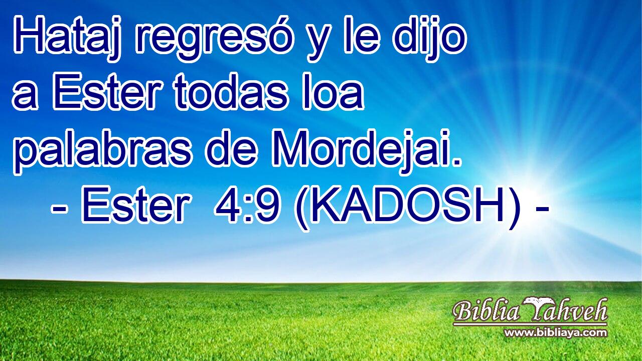  Hataj regresó y le dijo a Ester todas loa palabras de Mordejai. 