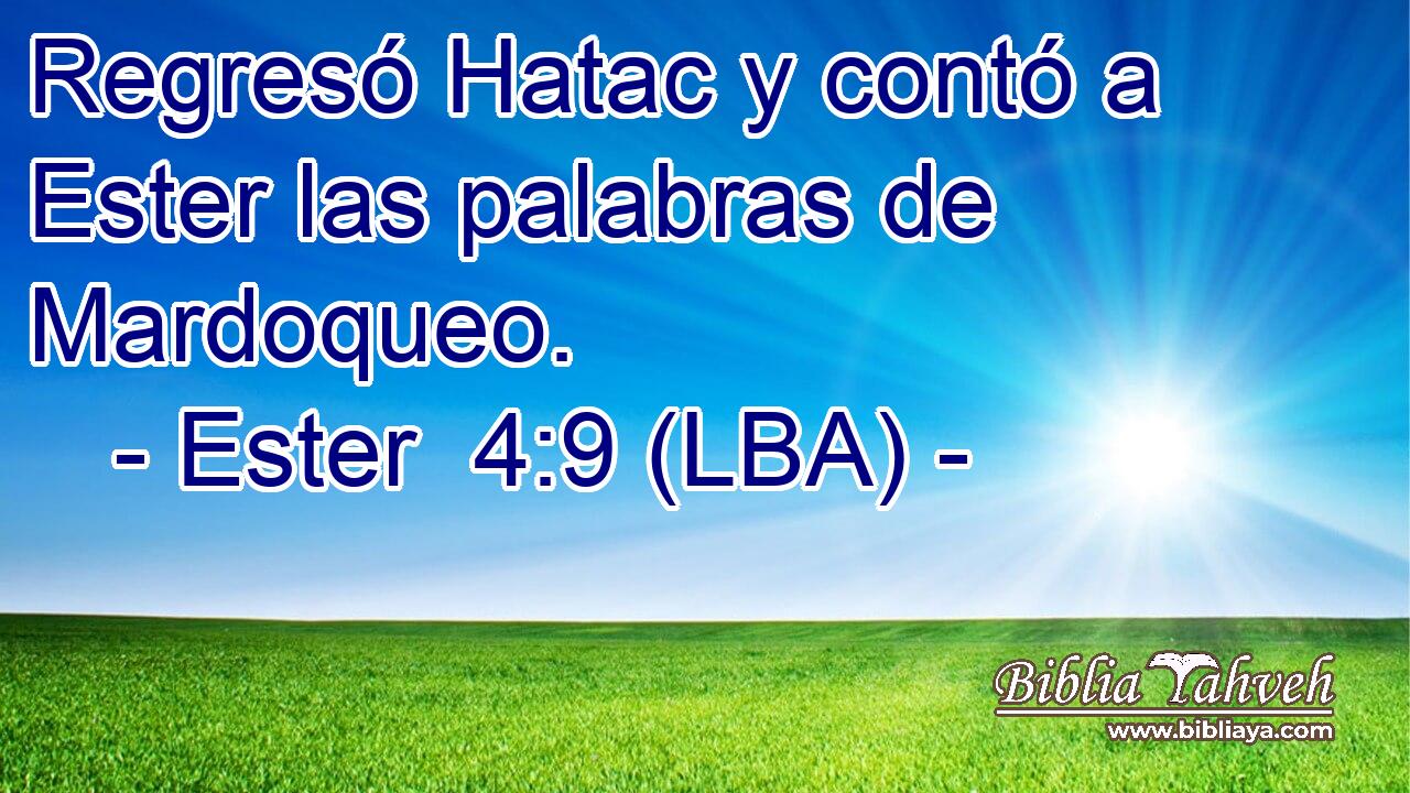 Regresó Hatac y contó a Ester las palabras de Mardoqueo.