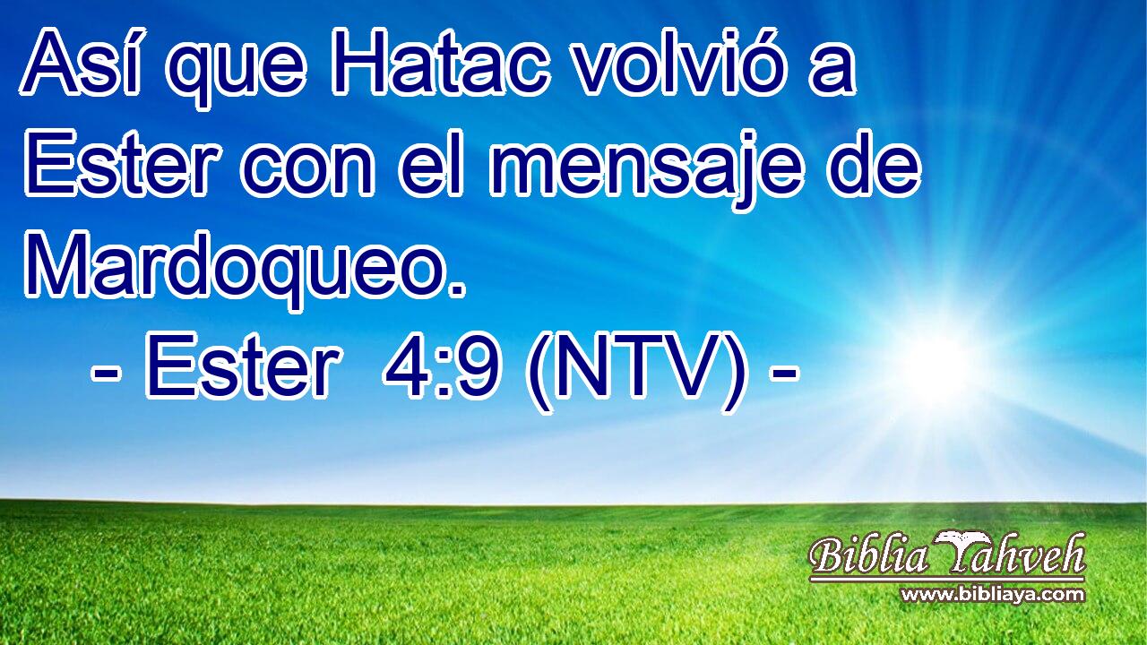 Así que Hatac volvió a Ester con el mensaje de Mardoqueo.