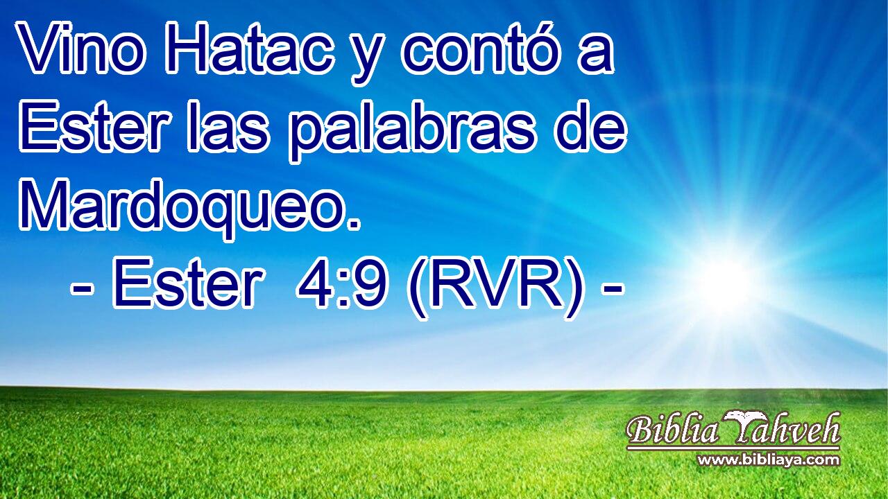 Vino Hatac y contó a Ester las palabras de Mardoqueo.