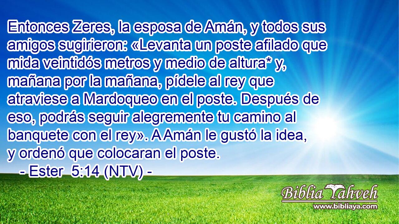 Entonces Zeres, la esposa de Amán, y todos sus amigos sugirieron: «Levanta un poste afilado que mida veintidós metros y medio de altura* y, mañana por la mañana, pídele al rey que atraviese a Mardoqueo en el poste. Después de eso, podrás seguir alegremente tu camino al banquete con el rey». A Amán le gustó la idea, y ordenó que colocaran el poste.