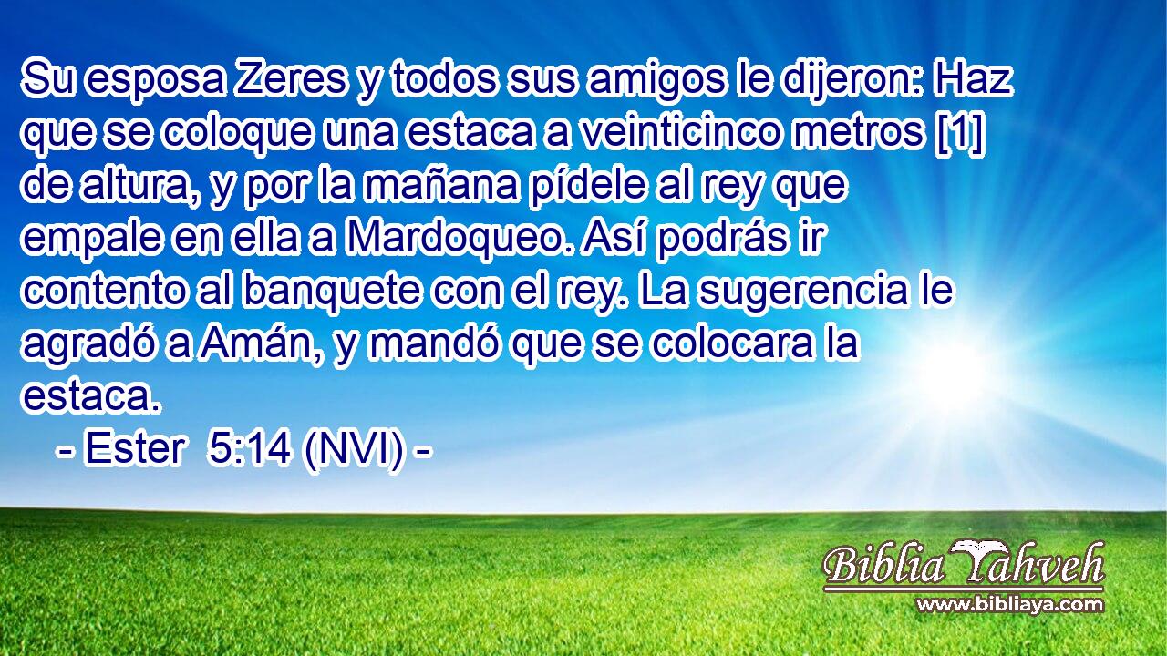  Su esposa Zeres y todos sus amigos le dijeron: Haz que se coloque una estaca a veinticinco metros [1] de altura, y por la mañana pídele al rey que empale en ella a Mardoqueo. Así podrás ir contento al banquete con el rey. La sugerencia le agradó a Amán, y mandó que se colocara la estaca. 