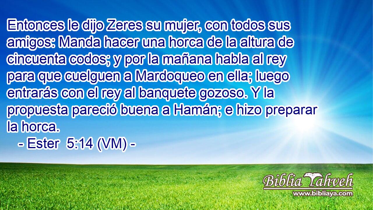  Entonces le dijo Zeres su mujer, con todos sus amigos: Manda hacer una horca de la altura de cincuenta codos; y por la mañana habla al rey para que cuelguen a Mardoqueo en ella; luego entrarás con el rey al banquete gozoso. Y la propuesta pareció buena a Hamán; e hizo preparar la horca. 