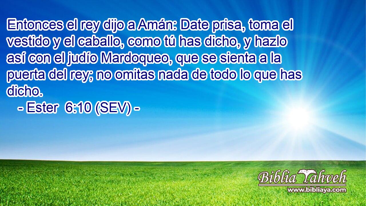 Entonces el rey dijo a Amán: Date prisa, toma el vestido y el caballo, como tú has dicho, y hazlo así con el judío Mardoqueo, que se sienta a la puerta del rey; no omitas nada de todo lo que has dicho.