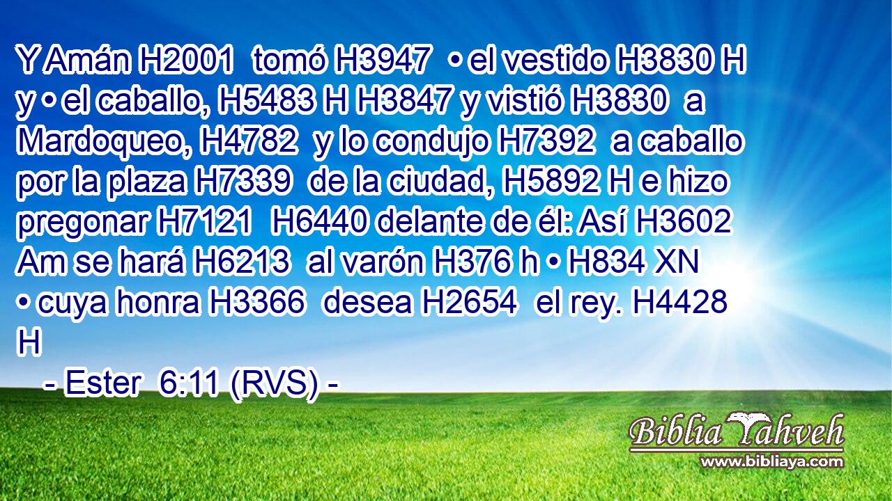 Y Amán H2001  tomó H3947  • el vestido H3830 H y • el caballo, H5483 H H3847 y vistió H3830  a Mardoqueo, H4782  y lo condujo H7392  a caballo por la plaza H7339  de la ciudad, H5892 H e hizo pregonar H7121  H6440 delante de él: Así H3602 Am se hará H6213  al varón H376 h • H834 XN • cuya honra H3366  desea H2654  el rey. H4428 H 
