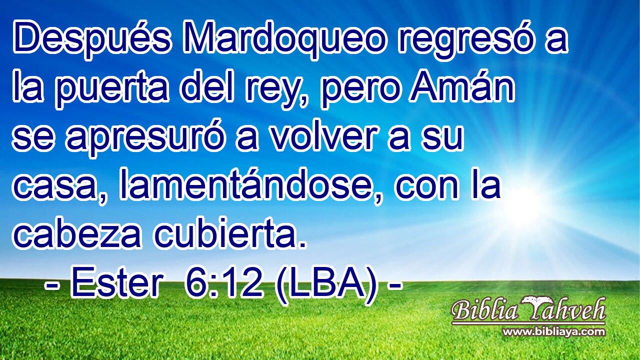Después Mardoqueo regresó a la puerta del rey, pero Amán se apresuró a volver a su casa, lamentándose, con la cabeza cubierta.
