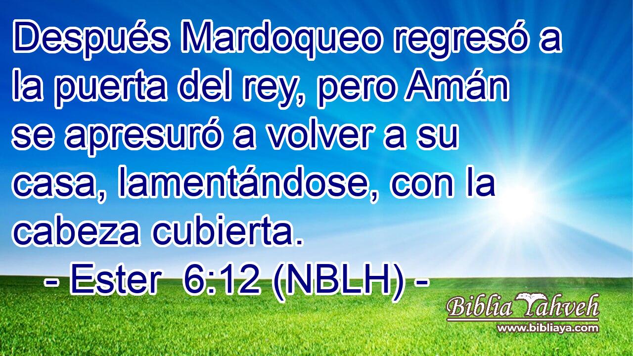  Después Mardoqueo regresó a la puerta del rey, pero Amán se apresuró a volver a su casa, lamentándose, con la cabeza cubierta. 