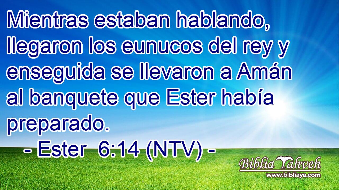 Mientras estaban hablando, llegaron los eunucos del rey y enseguida se llevaron a Amán al banquete que Ester había preparado.