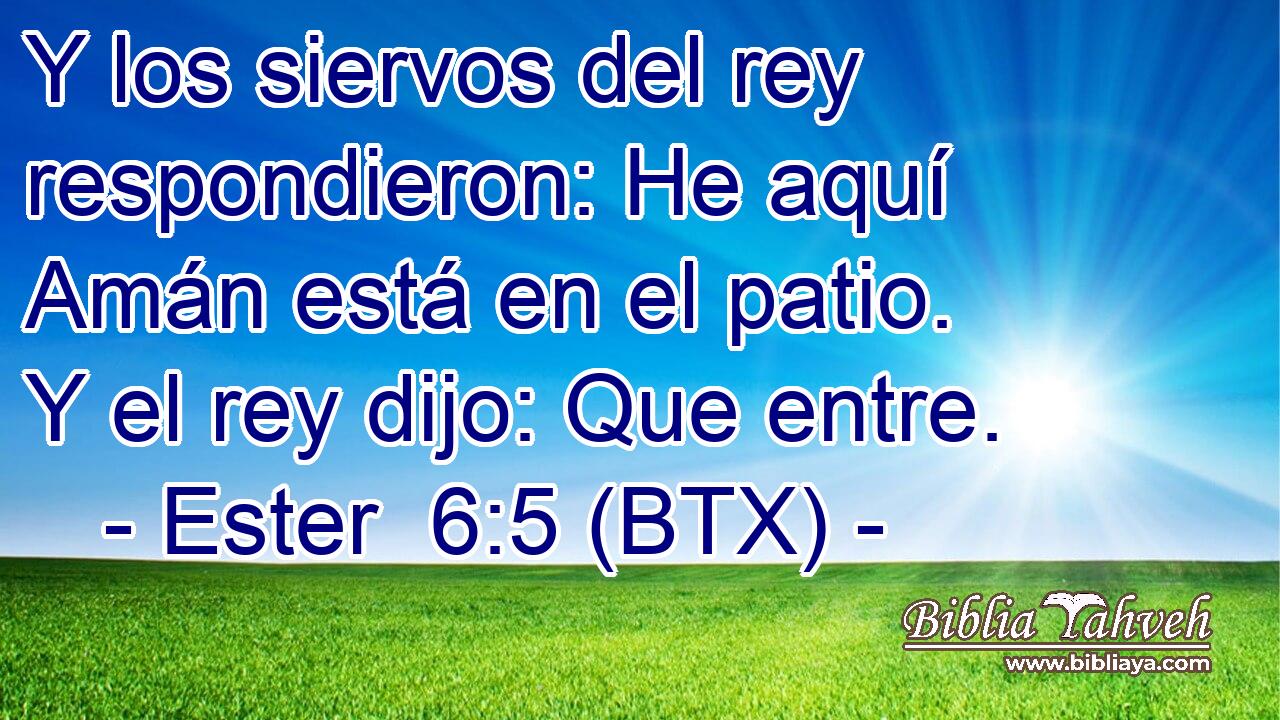 Y los siervos del rey respondieron: He aquí Amán está en el patio. Y el rey dijo: Que entre.