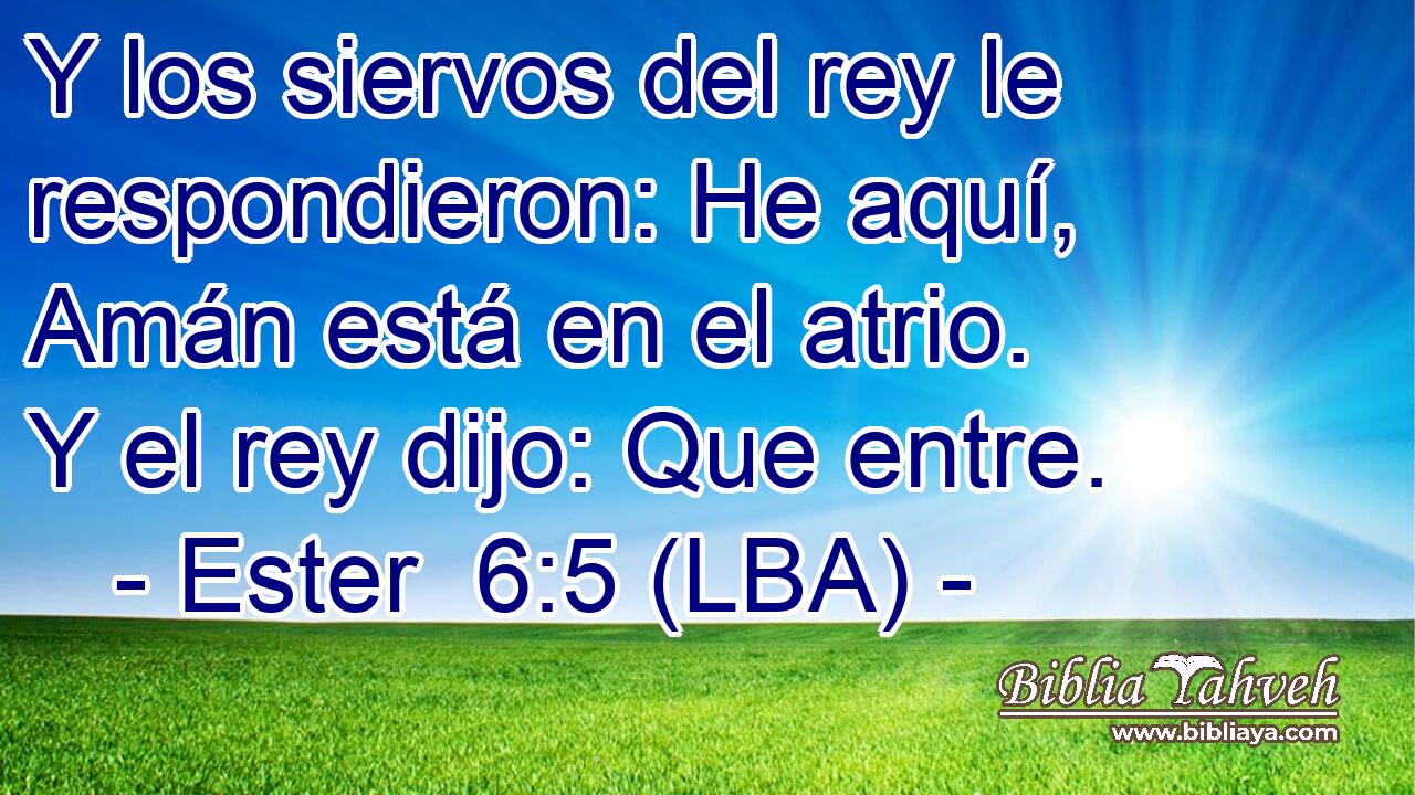 Y los siervos del rey le respondieron: He aquí, Amán está en el atrio. Y el rey dijo: Que entre.