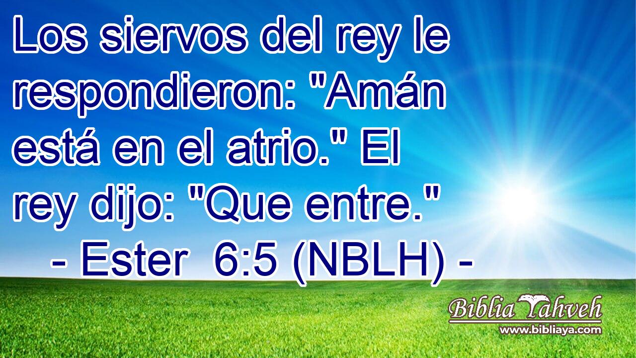  Los siervos del rey le respondieron: 