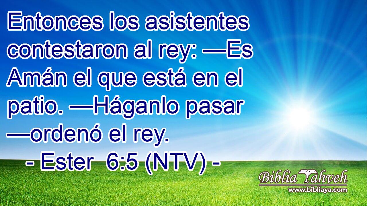 Entonces los asistentes contestaron al rey: —Es Amán el que está en el patio. —Háganlo pasar —ordenó el rey.