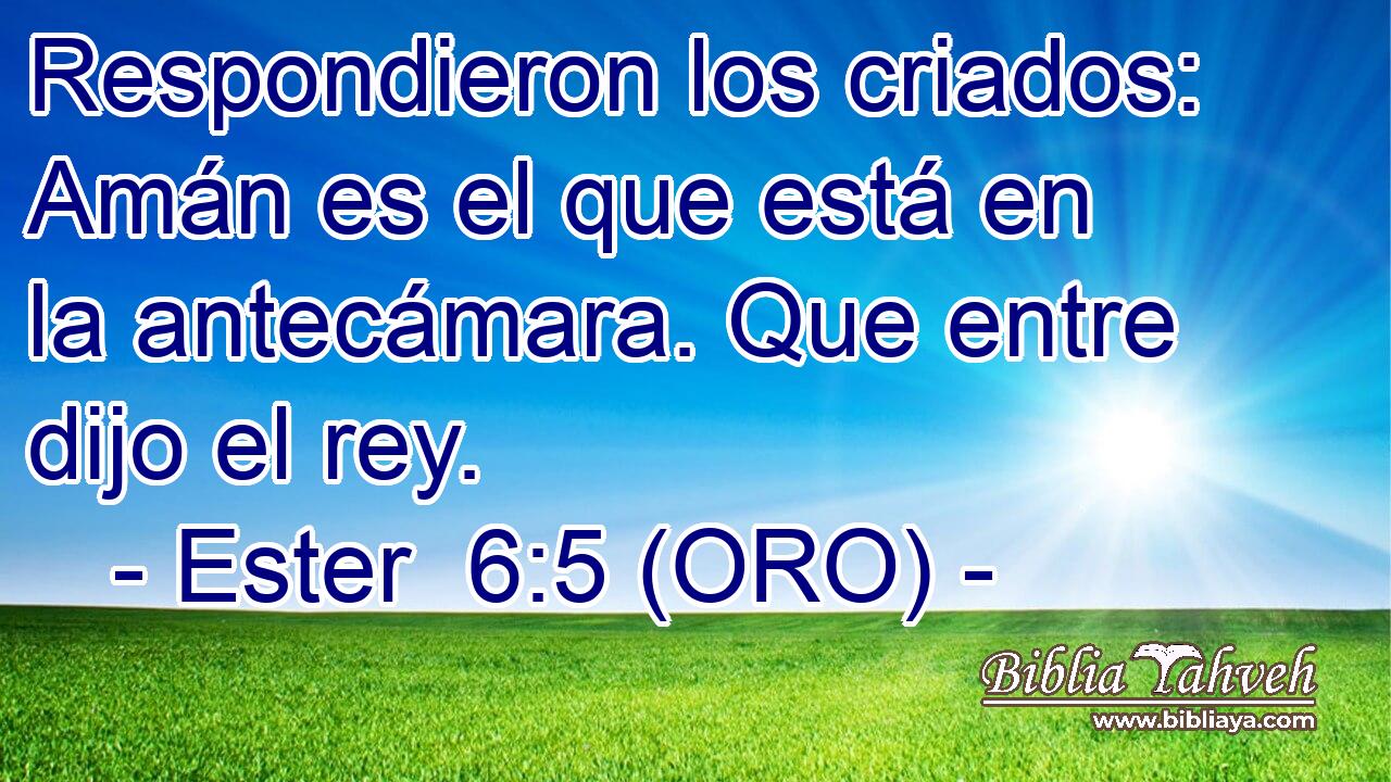  Respondieron los criados: Amán es el que está en la antecámara. Que entre dijo el rey. 