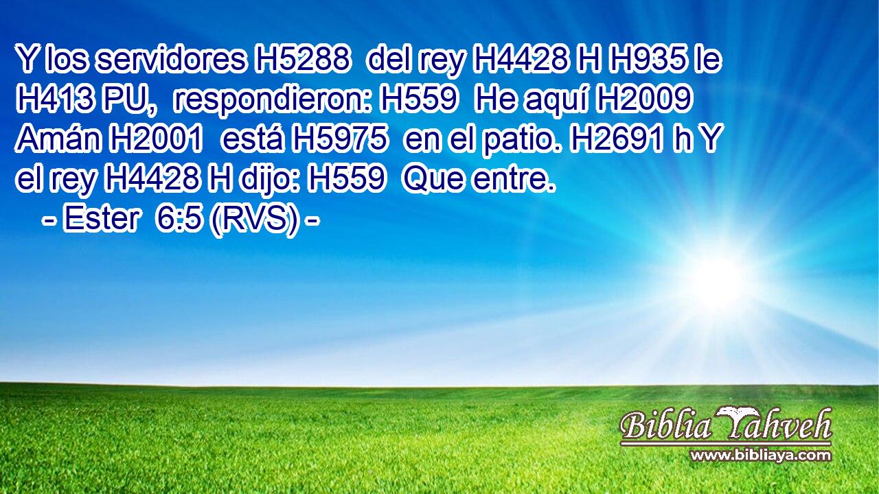 Y los servidores H5288  del rey H4428 H H935 le H413 PU,  respondieron: H559  He aquí H2009  Amán H2001  está H5975  en el patio. H2691 h Y el rey H4428 H dijo: H559  Que entre. 