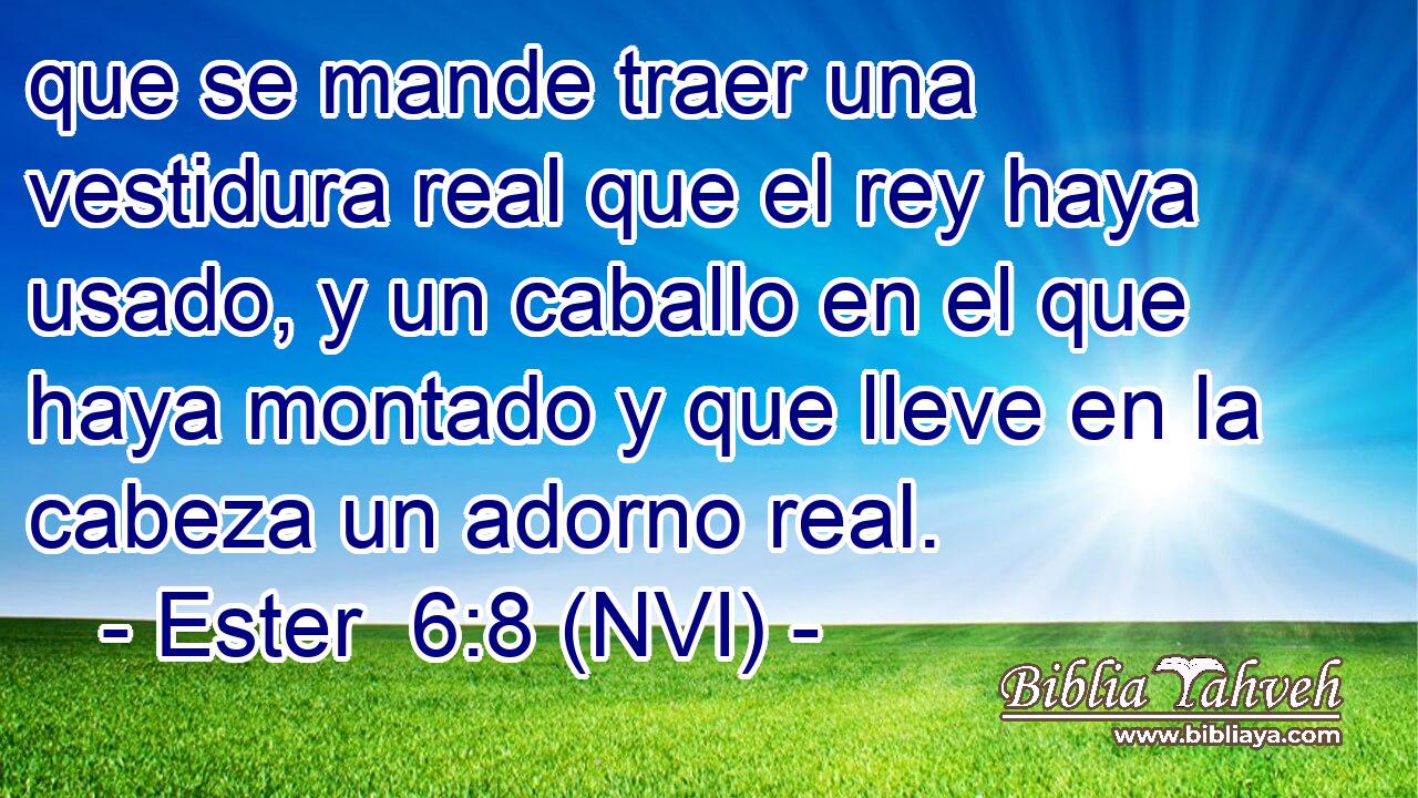  que se mande traer una vestidura real que el rey haya usado, y un caballo en el que haya montado y que lleve en la cabeza un adorno real. 