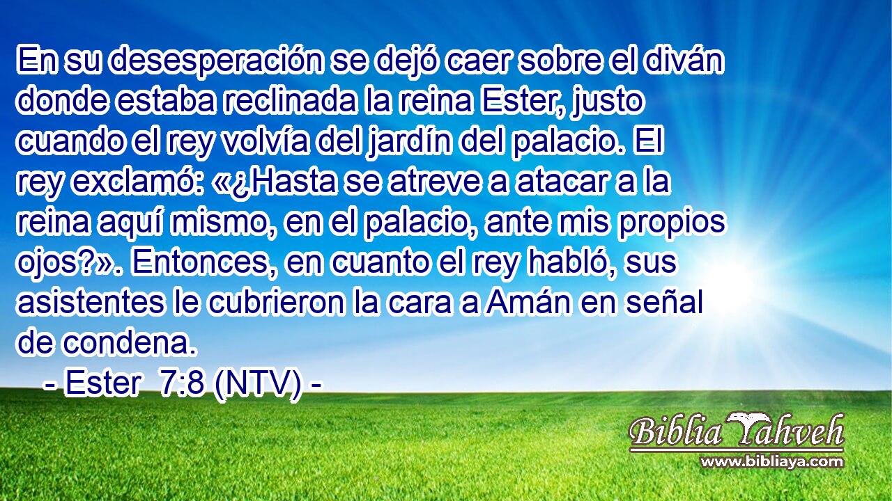En su desesperación se dejó caer sobre el diván donde estaba reclinada la reina Ester, justo cuando el rey volvía del jardín del palacio. El rey exclamó: «¿Hasta se atreve a atacar a la reina aquí mismo, en el palacio, ante mis propios ojos?». Entonces, en cuanto el rey habló, sus asistentes le cubrieron la cara a Amán en señal de condena.