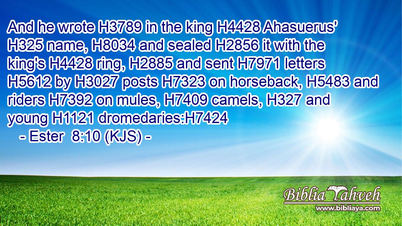 And he wrote H3789 in the king H4428 Ahasuerus' H325 name, H8034 and sealed H2856 it with the king's H4428 ring, H2885 and sent H7971 letters H5612 by H3027 posts H7323 on horseback, H5483 and riders H7392 on mules, H7409 camels, H327 and young H1121 dromedaries:H7424