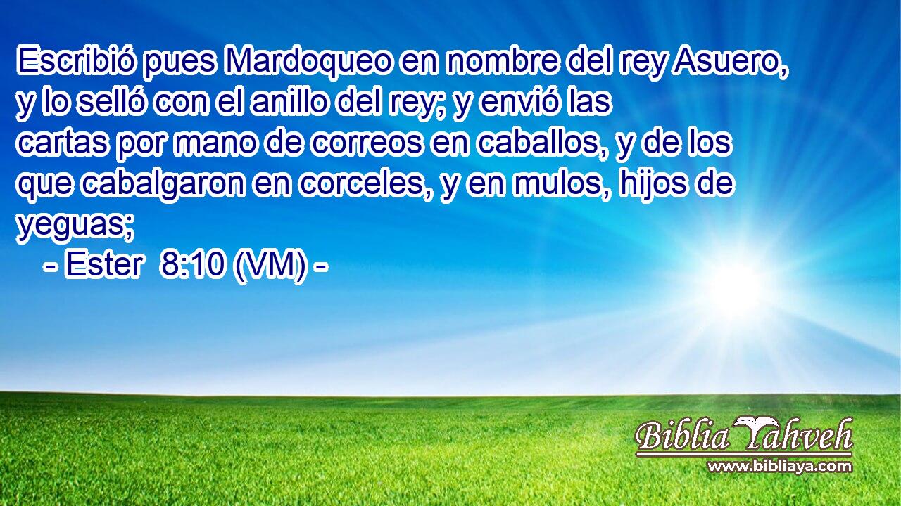  Escribió pues Mardoqueo en nombre del rey Asuero, y lo selló con el anillo del rey; y envió las cartas por mano de correos en caballos, y de los que cabalgaron en corceles, y en mulos, hijos de yeguas; 