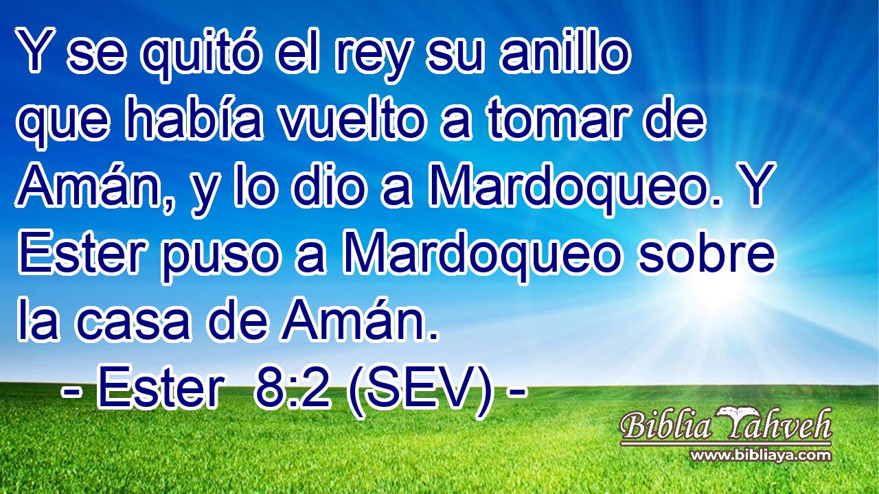Y se quitó el rey su anillo que había vuelto a tomar de Amán, y lo dio a Mardoqueo. Y Ester puso a Mardoqueo sobre la casa de Amán.