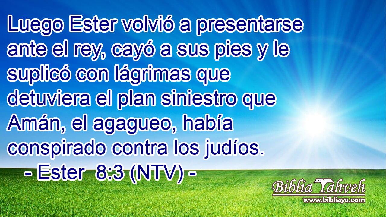 Luego Ester volvió a presentarse ante el rey, cayó a sus pies y le suplicó con lágrimas que detuviera el plan siniestro que Amán, el agagueo, había conspirado contra los judíos.