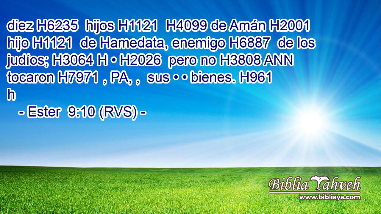 diez H6235  hijos H1121  H4099 de Amán H2001  hijo H1121  de Hamedata, enemigo H6887  de los judíos; H3064 H • H2026  pero no H3808 ANN tocaron H7971 , PA, ,  sus • • bienes. H961 h 