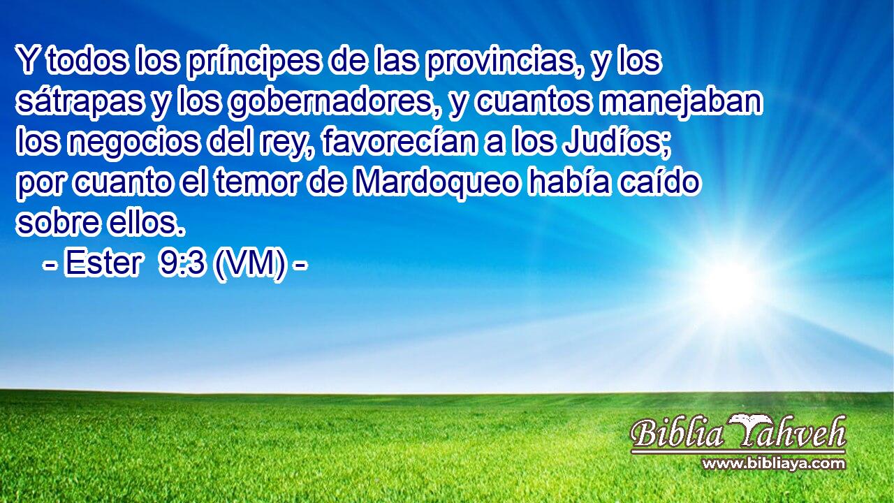  Y todos los príncipes de las provincias, y los sátrapas y los gobernadores, y cuantos manejaban los negocios del rey, favorecían a los Judíos; por cuanto el temor de Mardoqueo había caído sobre ellos. 