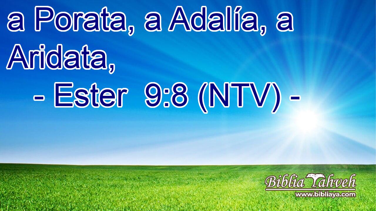 a Porata, a Adalía, a Aridata,