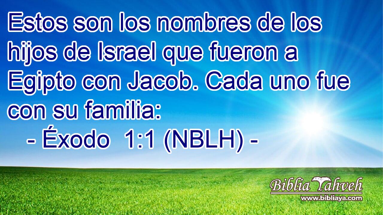  Estos son los nombres de los hijos de Israel que fueron a Egipto con Jacob. Cada uno fue con su familia: 