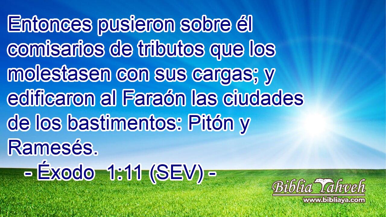 Entonces pusieron sobre él comisarios de tributos que los molestasen con sus cargas; y edificaron al Faraón las ciudades de los bastimentos: Pitón y Ramesés.