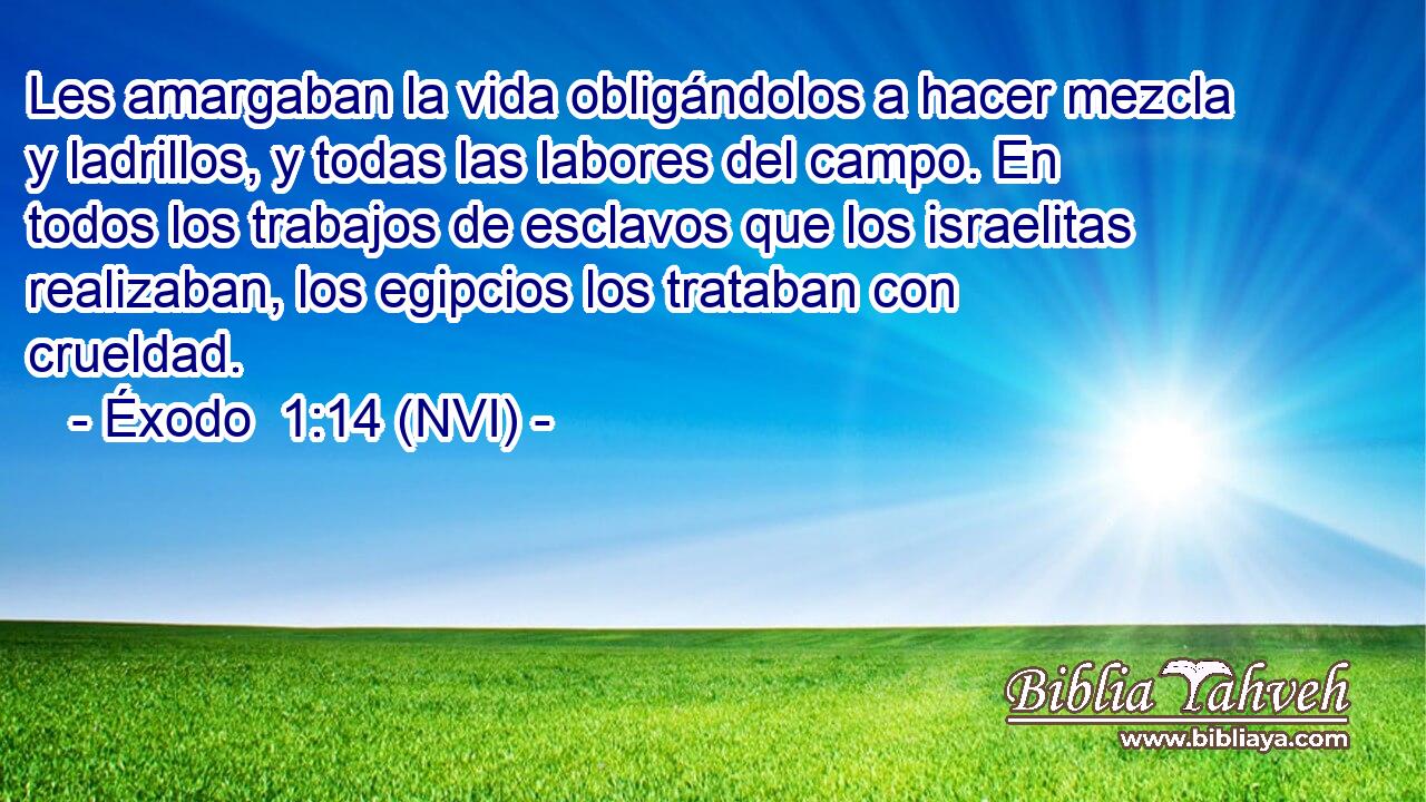  Les amargaban la vida obligándolos a hacer mezcla y ladrillos, y todas las labores del campo. En todos los trabajos de esclavos que los israelitas realizaban, los egipcios los trataban con crueldad. 
