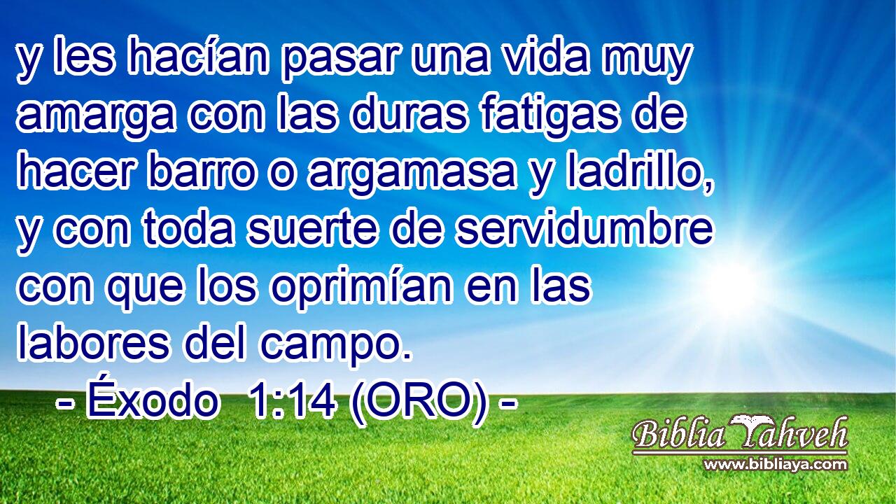  y les hacían pasar una vida muy amarga con las duras fatigas de hacer barro o argamasa y ladrillo, y con toda suerte de servidumbre con que los oprimían en las labores del campo. 