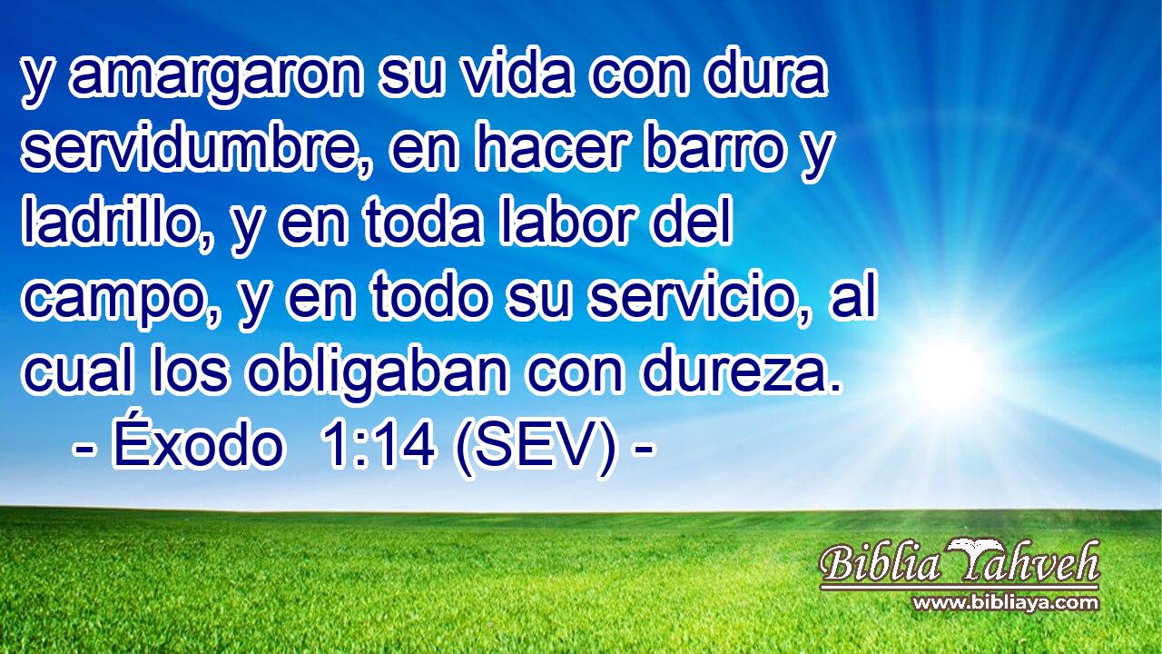y amargaron su vida con dura servidumbre, en hacer barro y ladrillo, y en toda labor del campo, y en todo su servicio, al cual los obligaban con dureza.