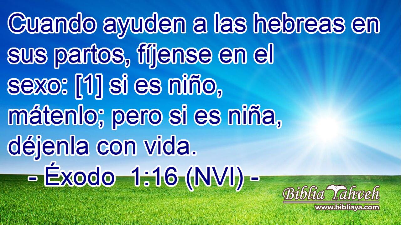  Cuando ayuden a las hebreas en sus partos, fíjense en el sexo: [1] si es niño, mátenlo; pero si es niña, déjenla con vida. 