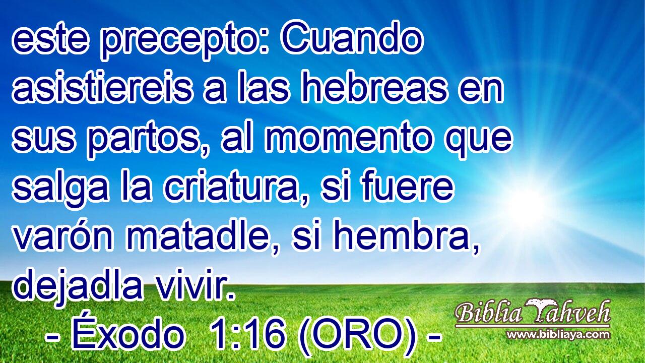  este precepto: Cuando asistiereis a las hebreas en sus partos, al momento que salga la criatura, si fuere varón matadle, si hembra, dejadla vivir. 