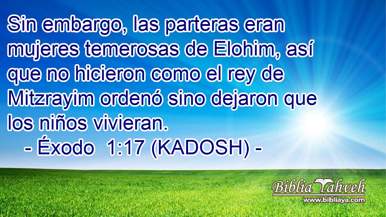  Sin embargo, las parteras eran mujeres temerosas de Elohim, así que no hicieron como el rey de Mitzrayim ordenó sino dejaron que los niños vivieran. 