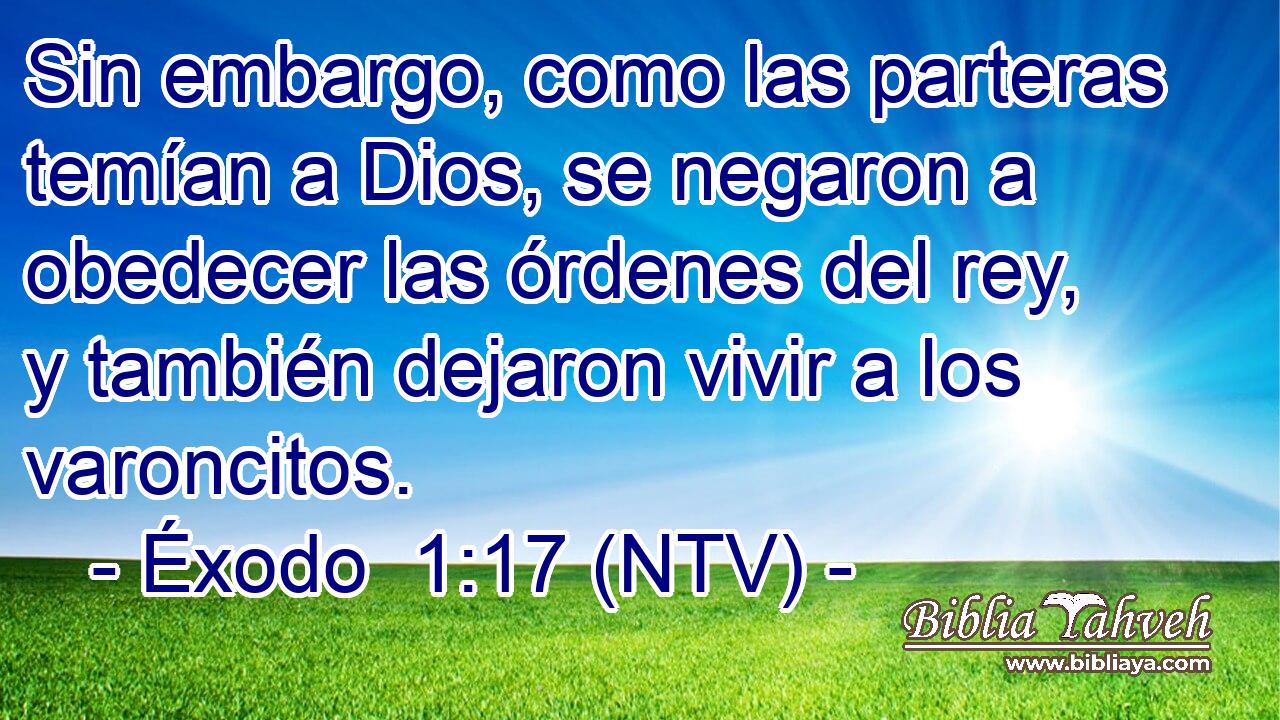 Sin embargo, como las parteras temían a Dios, se negaron a obedecer las órdenes del rey, y también dejaron vivir a los varoncitos.