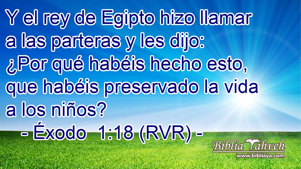 Y el rey de Egipto hizo llamar a las parteras y les dijo: ¿Por qué habéis hecho esto, que habéis preservado la vida a los niños?