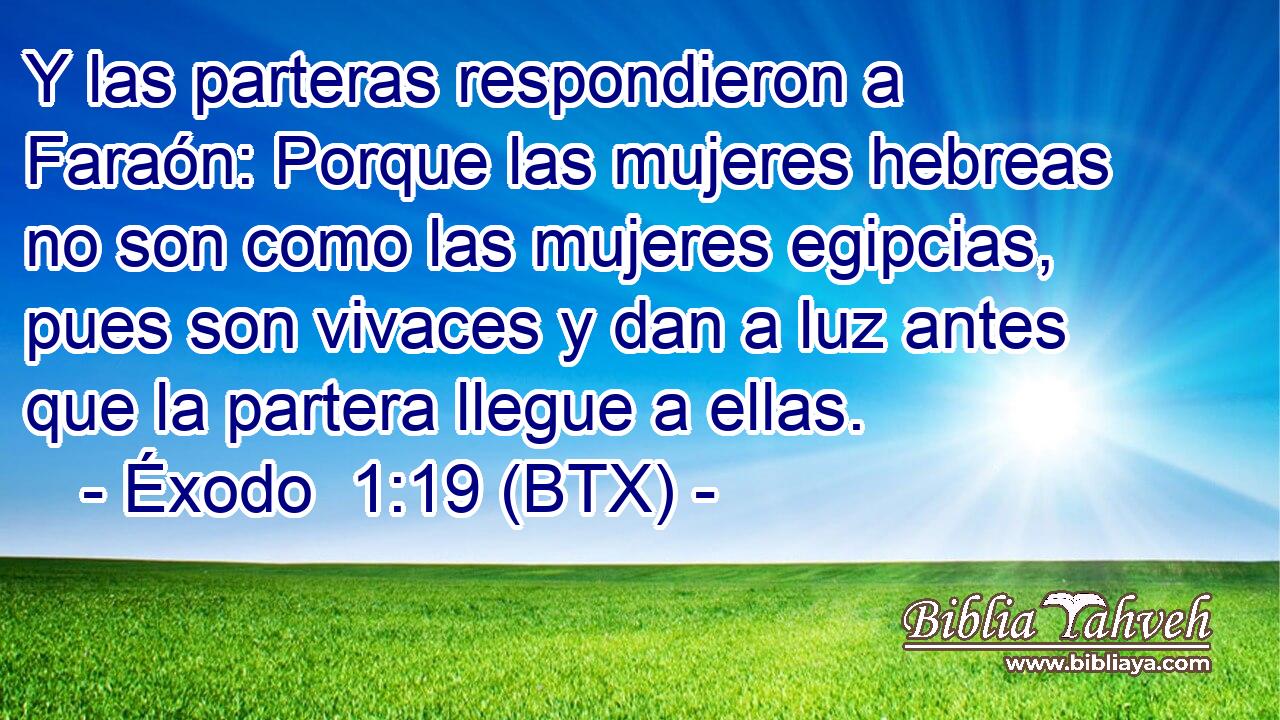 Y las parteras respondieron a Faraón: Porque las mujeres hebreas no son como las mujeres egipcias, pues son vivaces y dan a luz antes que la partera llegue a ellas.